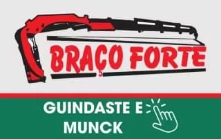 Braço Forte - Guindaste e Munck Uberlândia