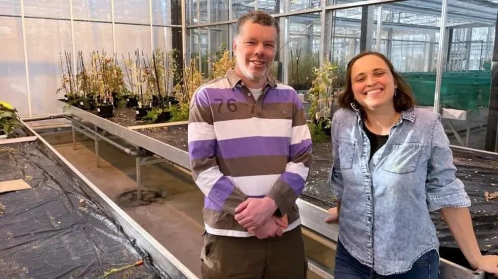 Tomates marcianos? Brasileira usa técnica maia para criar plantações em Marte
