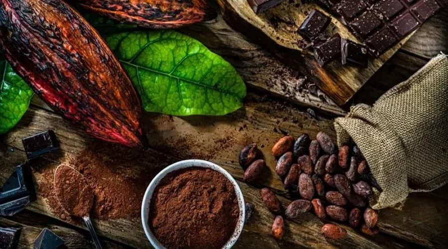 Os benefícios do cacau para a saúde e o envelhecimento, segundo a ciência