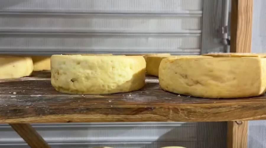 Qual a quantidade de queijo que podemos comer por dia?