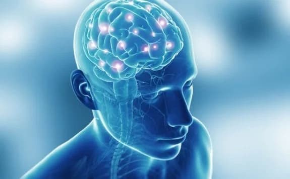 Estudo mostra que hemisférios do cérebro compensam conexões do lado ausente