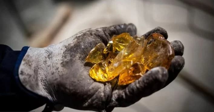 O ouro líquido escondido nas florestas da Espanha