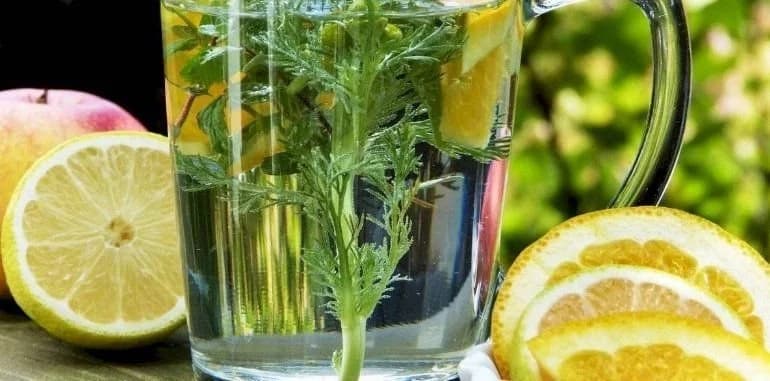 Estas 4 plantas medicinais são as mais eficazes para queimar gordura abdominal e emagrecer