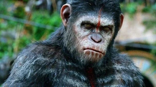Planeta dos Macacos pode ganhar novo filme com diretor de Maze Runner