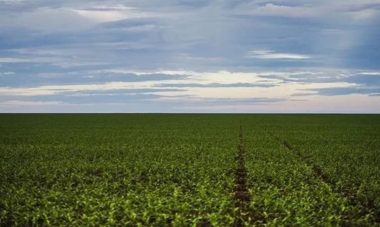Regras e procedimentos de regularização fundiária de áreas rurais em terras da Amazônia