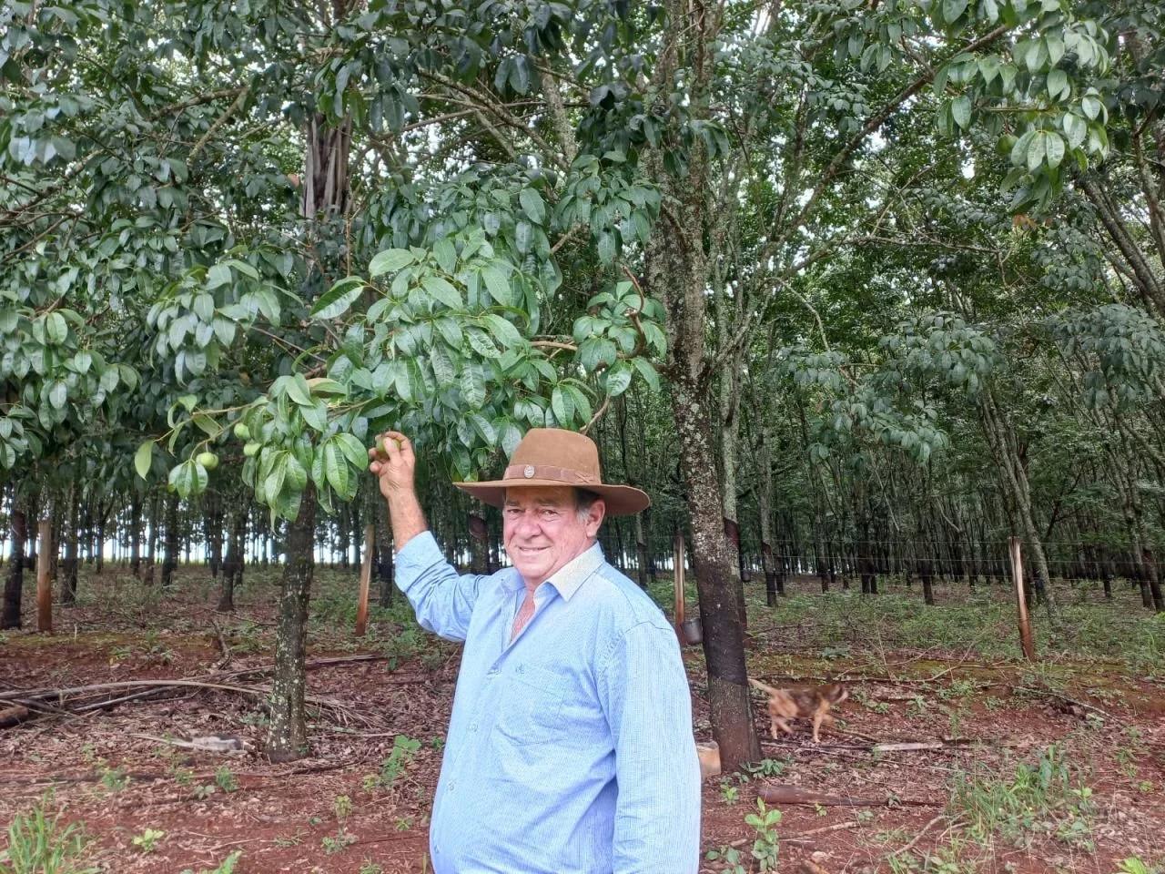 Cultivo com fertilizante sem cloro aumenta em 10 por cento em Minas Gerais
