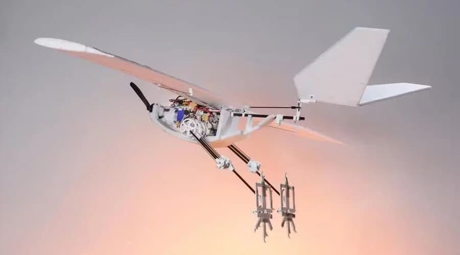 Com pássarorobô que salta e voa, cientistas querem desenvolver drone do futuro
