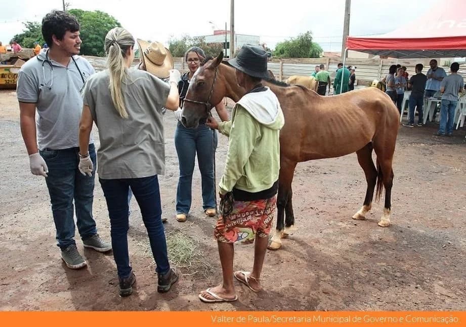 Uberlândia Amiga dos Carroceiros