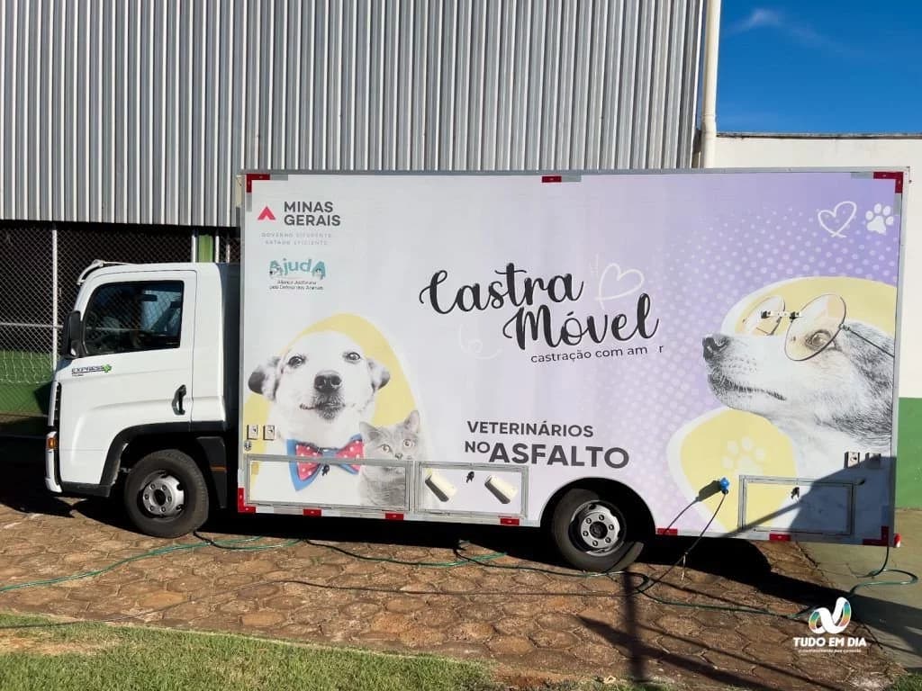Castrações buscam o controle da natalidade de cães e gatos em Capinópolis