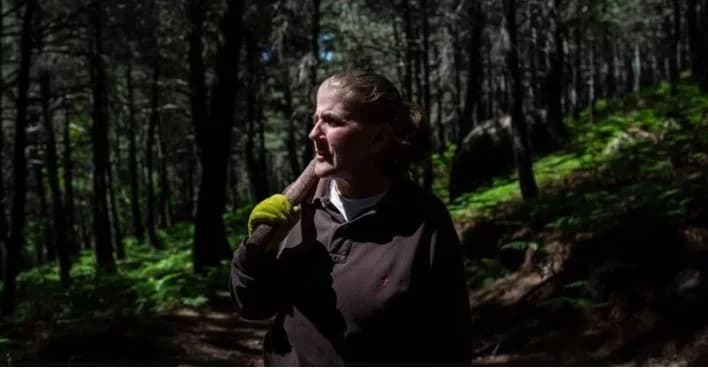 O ouro líquido escondido nas florestas da Espanha