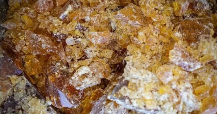 O ouro líquido escondido nas florestas da Espanha
