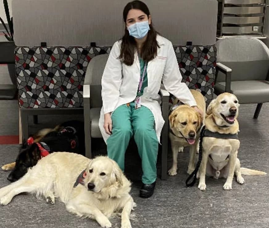 Hospital contrata cão pra alegrar funcionários e pacientes