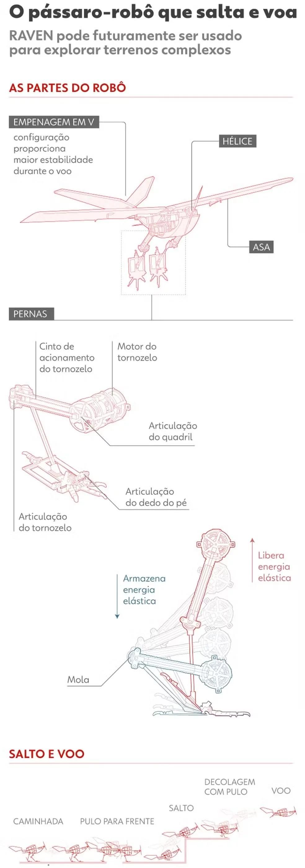 Com pássarorobô que salta e voa, cientistas querem desenvolver drone do futuro