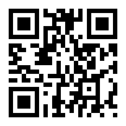 QR Code Roma monta piscina improvisada em frente à Fontana di Trevi para turistas jogarem moedas