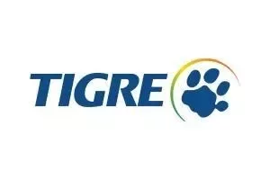 Tigre