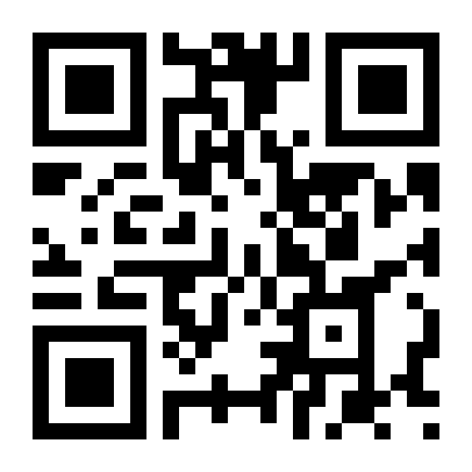 QR Code Arroz P