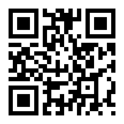 QR Code Brinquedo Caminhonete Realista