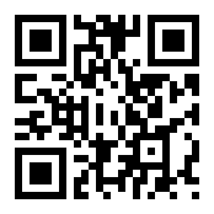 QR Code Bolsa Mini