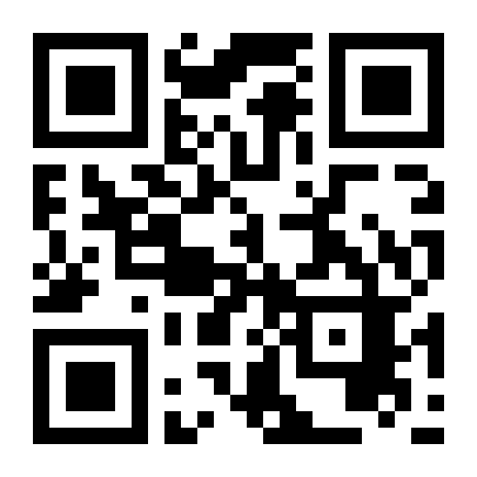 QR Code Coruja Decorativa Em Resina