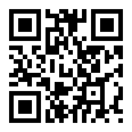 QR Code Bolsa
