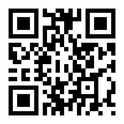 QR Code Punto Hlx 1.8 2010 Completo