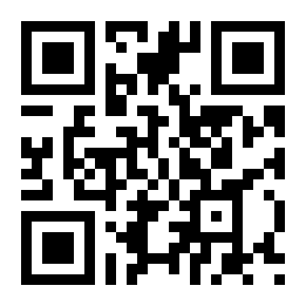 QR Code 51 Ice 275Ml