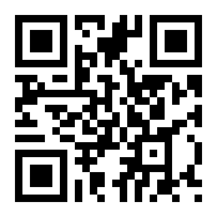 QR Code Abacaxi Havaiano G