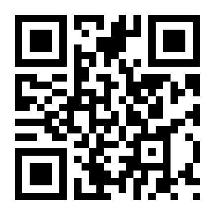QR Code Duster Dynamique 2.0 2013