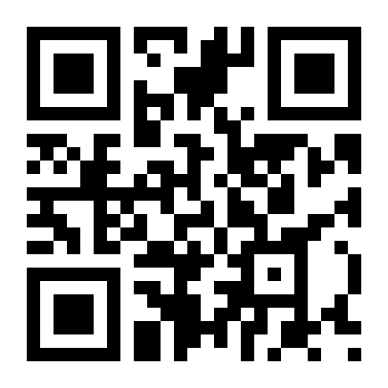 QR Code Fox 1.6 Mi Flex 2012