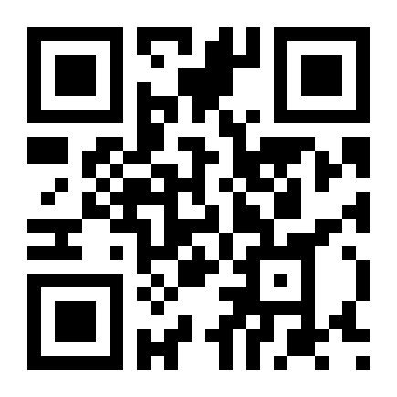 QR Code Fusion Sel 2007