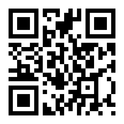 QR Code Palheta Silicone