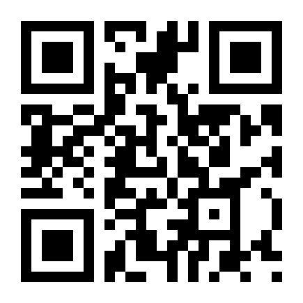 QR Code Palio 2010