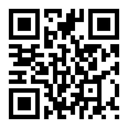 QR Code S10 2X4 2.8 2000