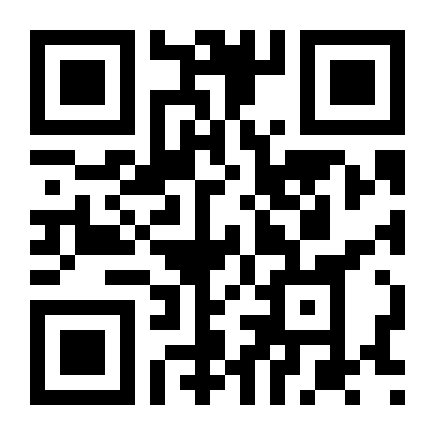 QR Code Bolsa Baguete